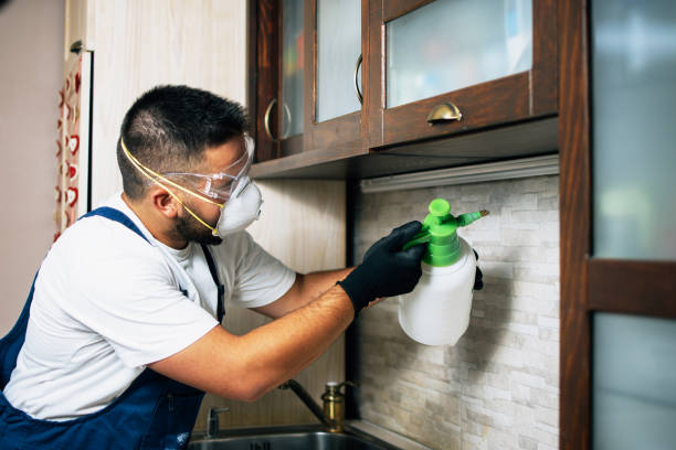 Reliable Essex Village, CT Pest Control Solutions