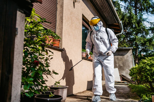 Best Pest Control Near Me  in Essex Village, CT