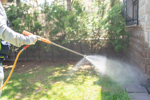 Best Pest Control for Homes  in Essex Village, CT