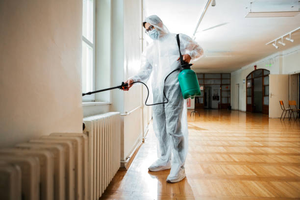 Best Bed Bug Extermination  in Essex Village, CT